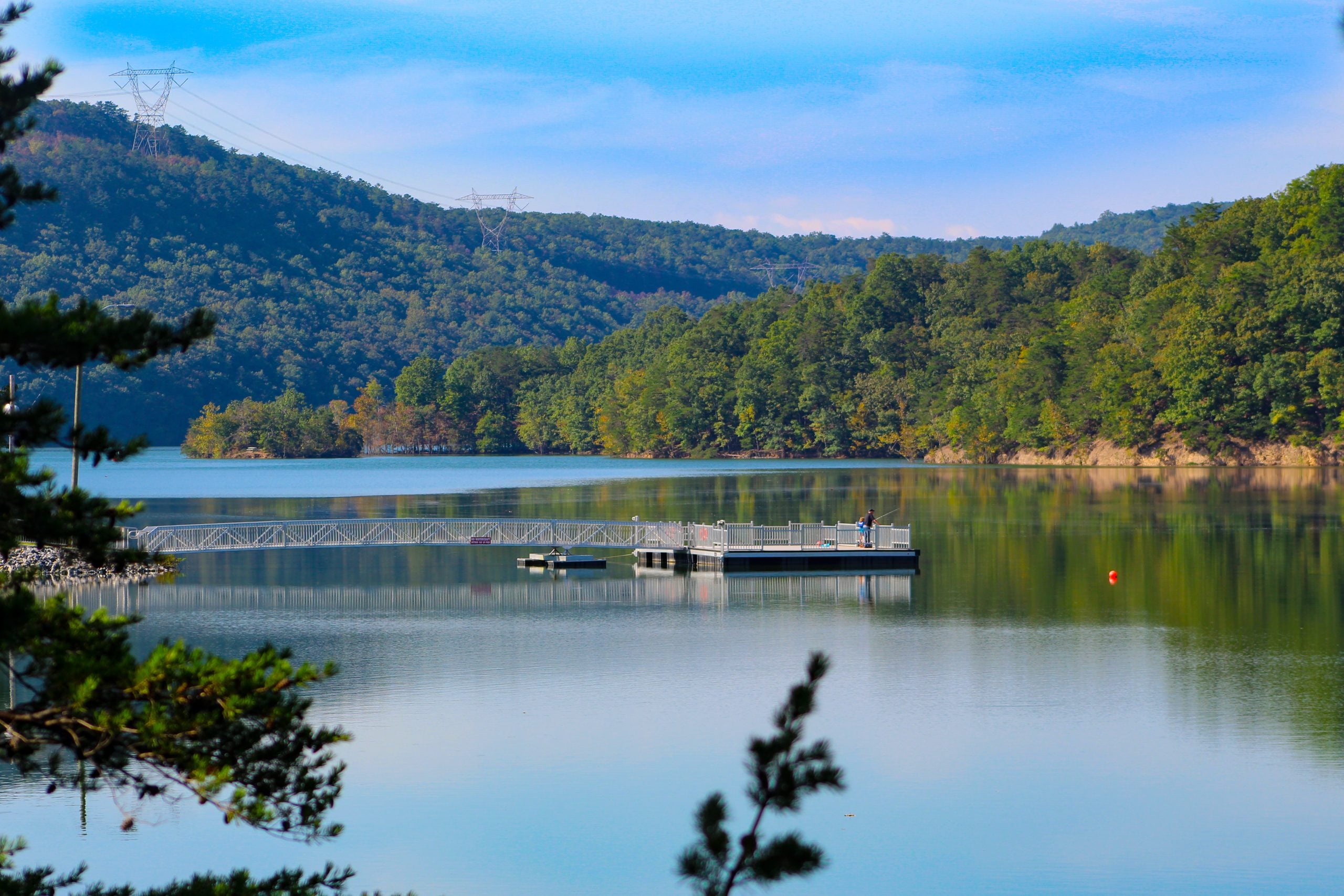 Calm lake surrounded by forest